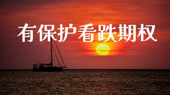 有保护看跌期权_https://www.apanben.com_期货学院_第1张