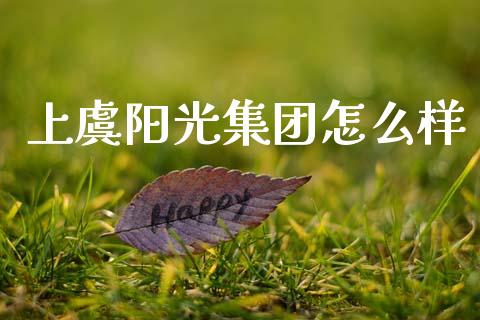上虞阳光集团怎么样_https://www.apanben.com_国际财经_第1张