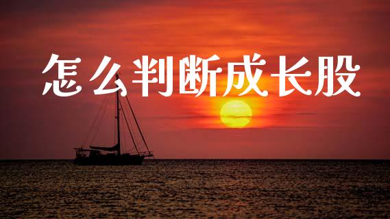 怎么判断成长股_https://www.apanben.com_国际财经_第1张