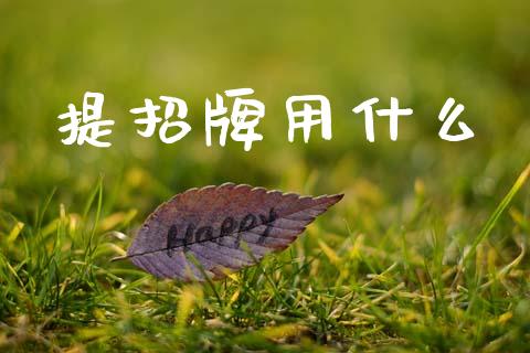 提招牌用什么_https://www.apanben.com_财经资讯_第1张