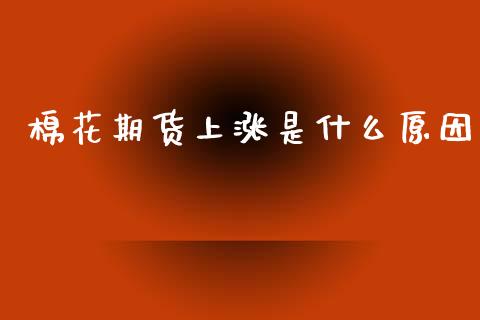 棉花期货上涨是什么原因_https://www.apanben.com_国际财经_第1张