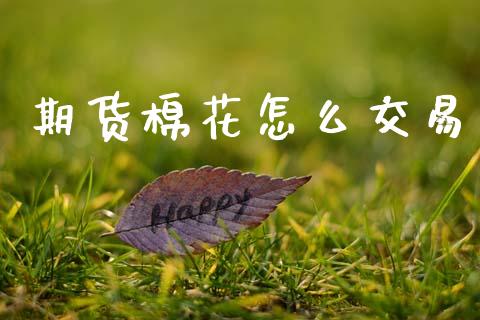 期货棉花怎么交易_https://www.apanben.com_期货学院_第1张