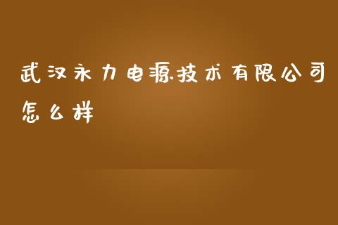 武汉永力电源技术有限公司怎么样_https://www.apanben.com_财经资讯_第1张