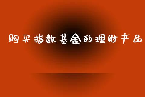 购买指数基金的理财产品_https://www.apanben.com_财经资讯_第1张