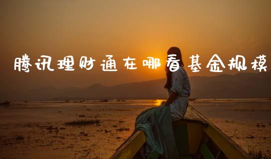 腾讯理财通在哪看基金规模_https://www.apanben.com_财经资讯_第1张