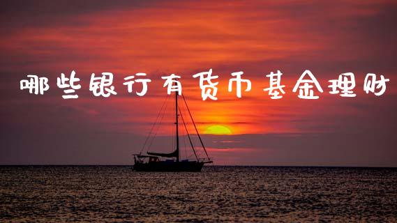 哪些银行有货币基金理财_https://www.apanben.com_国际财经_第1张