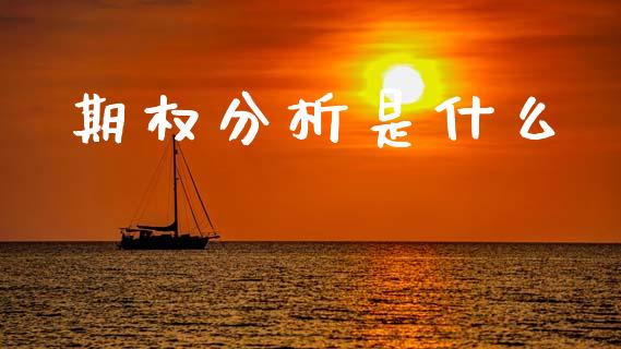 期权分析是什么_https://www.apanben.com_国际财经_第1张