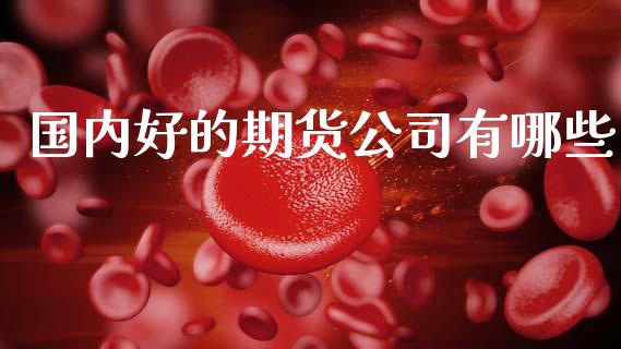 国内好的期货公司有哪些_https://www.apanben.com_财经资讯_第1张