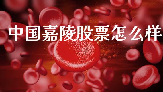 中国嘉陵股票怎么样_https://www.apanben.com_期货学院_第1张