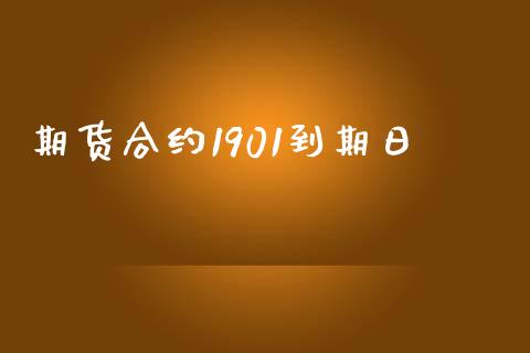 期货合约1901到期日_https://www.apanben.com_股票怎么玩_第1张