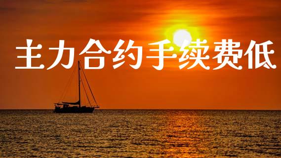 主力合约手续费低_https://www.apanben.com_期货学院_第1张