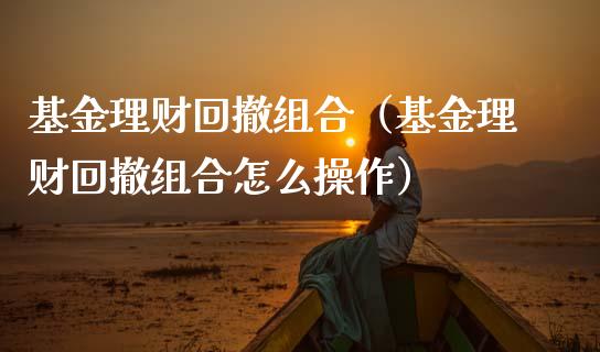 基金理财回撤组合（基金理财回撤组合怎么操作）_https://www.apanben.com_财经资讯_第1张