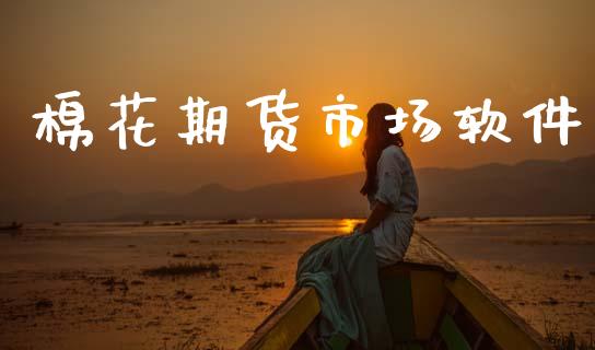 棉花期货市场软件_https://www.apanben.com_国际财经_第1张