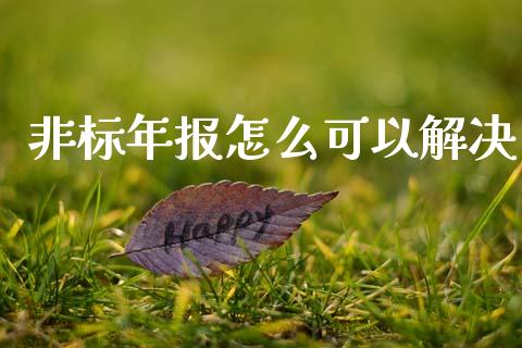 非标年报怎么可以解决_https://www.apanben.com_国际财经_第1张