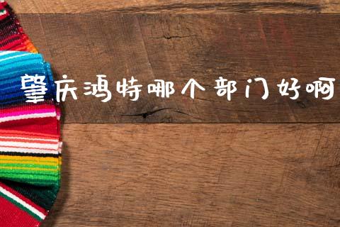 肇庆鸿特哪个部门好啊_https://www.apanben.com_财经资讯_第1张