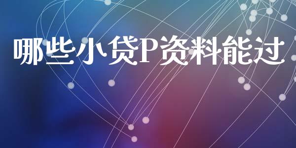 哪些小贷P资料能过_https://www.apanben.com_期货学院_第1张