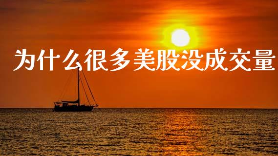 为什么很多美股没成交量_https://www.apanben.com_期货学院_第1张