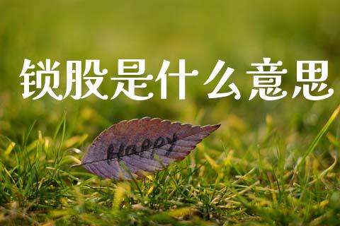 锁股是什么意思_https://www.apanben.com_股票怎么玩_第1张