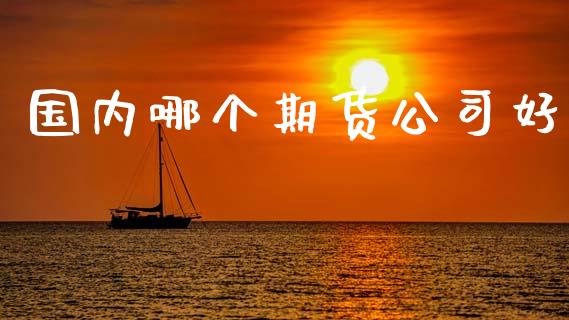 国内哪个期货公司好_https://www.apanben.com_在线喊单_第1张