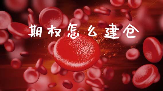 期权怎么建仓_https://www.apanben.com_股票怎么玩_第1张