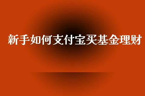 新手如何支付宝买基金理财_https://www.apanben.com_财经资讯_第1张