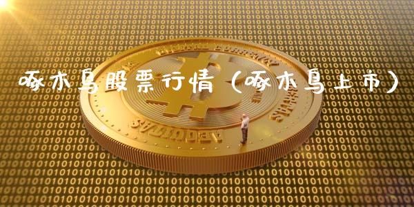 啄木鸟股票行情（啄木鸟上市）_https://www.apanben.com_股市分析_第1张