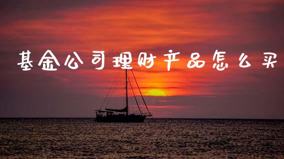基金公司理财产品怎么买_https://www.apanben.com_国际财经_第1张