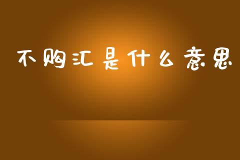 不购汇是什么意思_https://www.apanben.com_期货学院_第1张