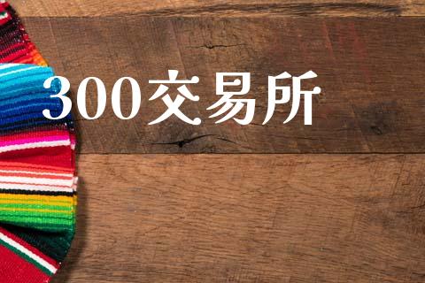 300交易所_https://www.apanben.com_股市指导_第1张