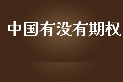 中国有没有期权_https://www.apanben.com_国际财经_第1张