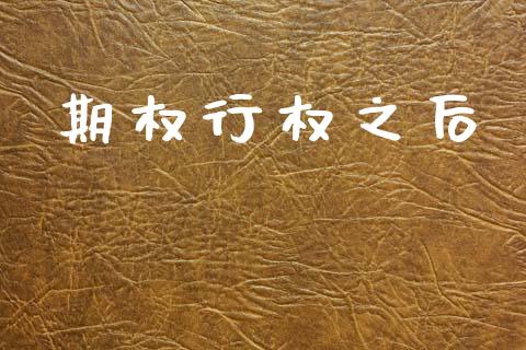 期权行权之后_https://www.apanben.com_股票怎么玩_第1张