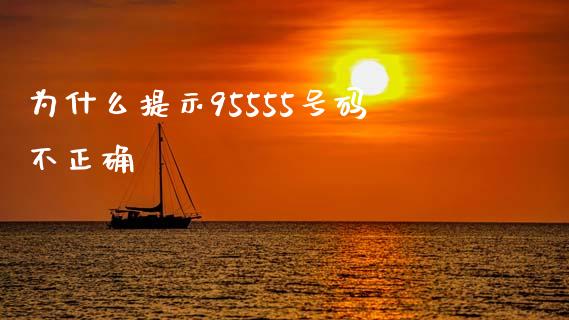 为什么提示95555号码不正确_https://www.apanben.com_国际财经_第1张