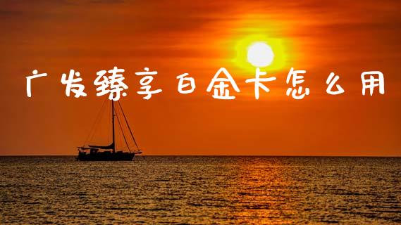 广发臻享白金卡怎么用_https://www.apanben.com_国际财经_第1张
