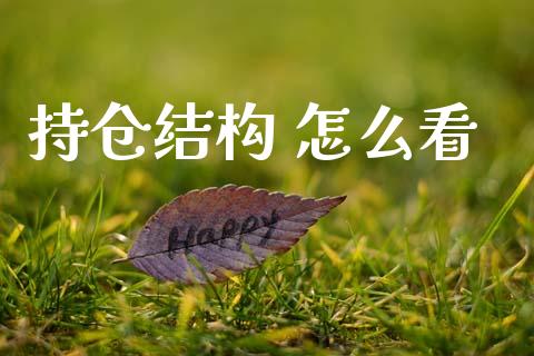 持仓结构 怎么看_https://www.apanben.com_在线喊单_第1张