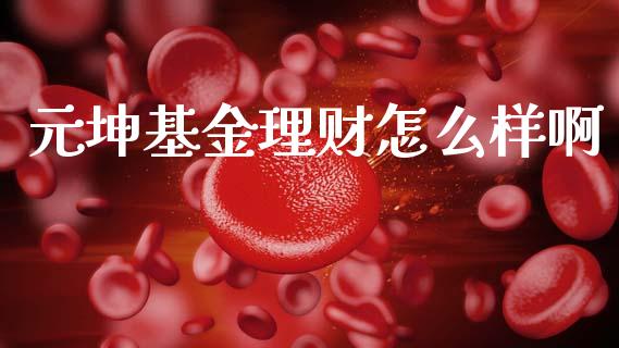 元坤基金理财怎么样啊_https://www.apanben.com_国际财经_第1张
