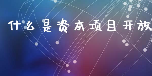 什么是资本项目开放_https://www.apanben.com_期货学院_第1张
