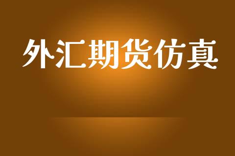外汇期货仿真_https://www.apanben.com_期货学院_第1张