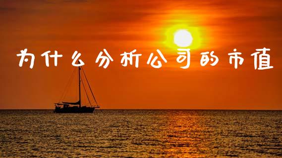 为什么分析公司的市值_https://www.apanben.com_国际财经_第1张