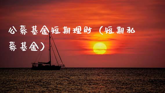 公募基金短期理财（短期私募基金）_https://www.apanben.com_财经资讯_第1张