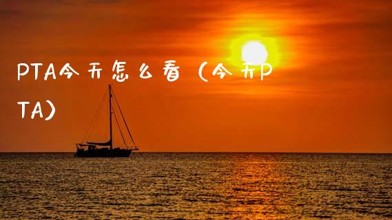 PTA今天怎么看（今天PTA）_https://www.apanben.com_期货学院_第1张