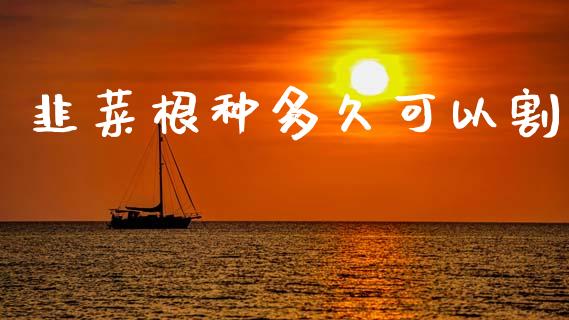 韭菜根种多久可以割_https://www.apanben.com_股票怎么玩_第1张