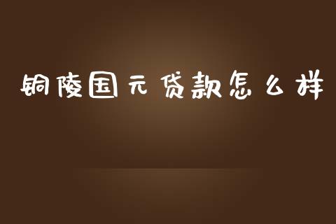 铜陵国元贷款怎么样_https://www.apanben.com_财经资讯_第1张