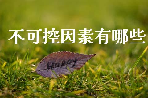 不可控因素有哪些_https://www.apanben.com_在线喊单_第1张