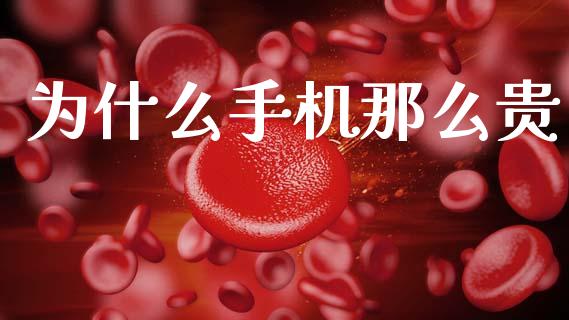 为什么手机那么贵_https://www.apanben.com_国际财经_第1张