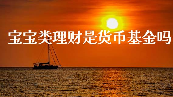 宝宝类理财是货币基金吗_https://www.apanben.com_财经资讯_第1张