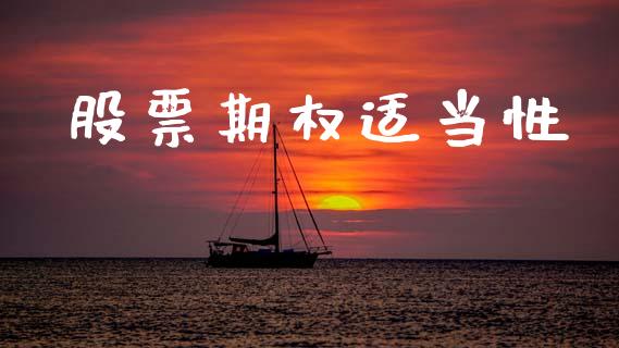 股票期权适当性_https://www.apanben.com_期货学院_第1张