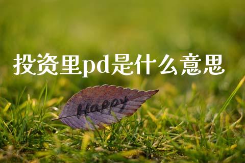 投资里pd是什么意思_https://www.apanben.com_期货学院_第1张