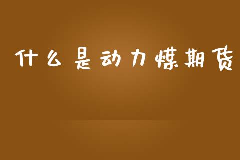 什么是动力煤期货_https://www.apanben.com_期货学院_第1张