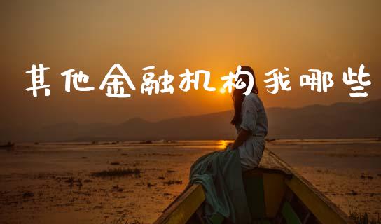 其他金融机构我哪些_https://www.apanben.com_国际期货_第1张