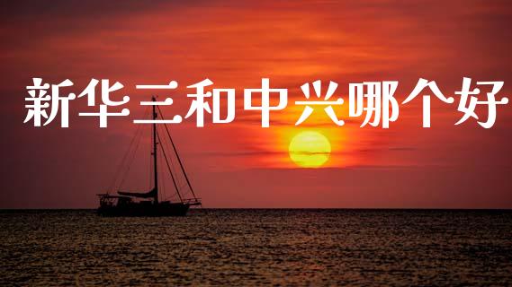 新华三和中兴哪个好_https://www.apanben.com_股票怎么玩_第1张